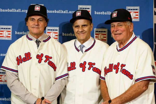  2015 National Baseball Hall of Fame Induction Patch Biggio  Johnson Martinez : Sports & Outdoors
