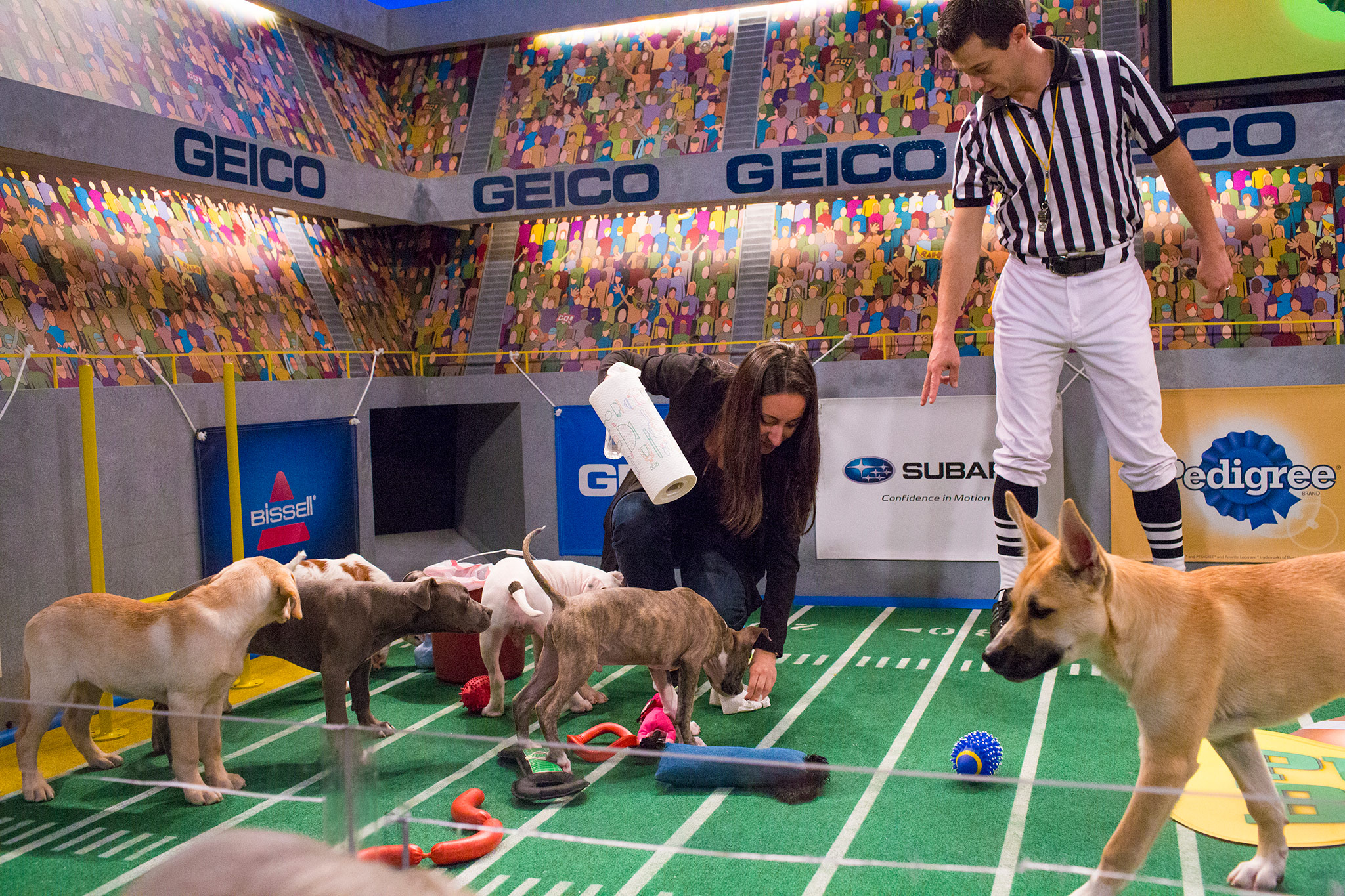 Time Out! - PUPPY BOWL 2014 - ESPN