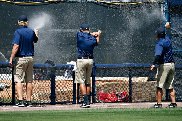 Boston Red Sox-New York Yankees game delayed by bees