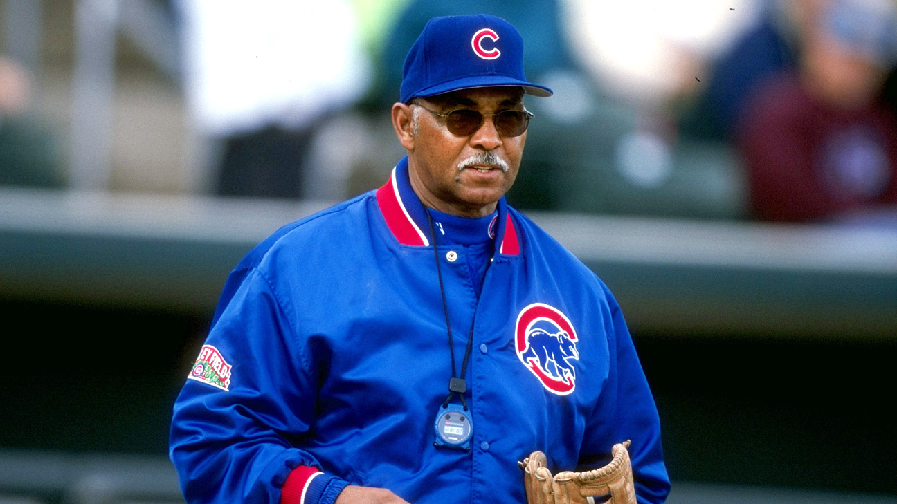 Celebrity fans who love the Chicago Cubs