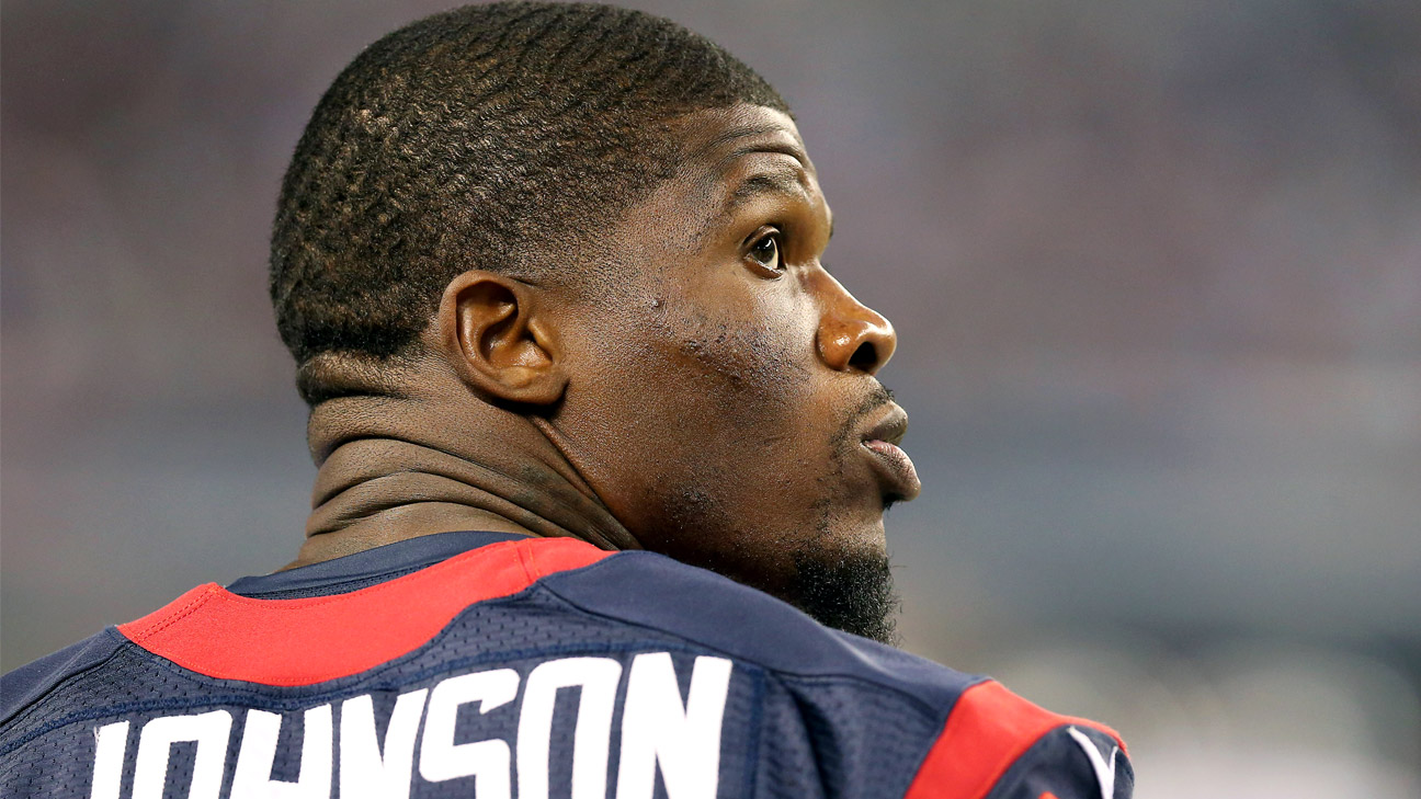 Andre Johnson Is a Semi-Finalist for the Pro Football Hall of Fame