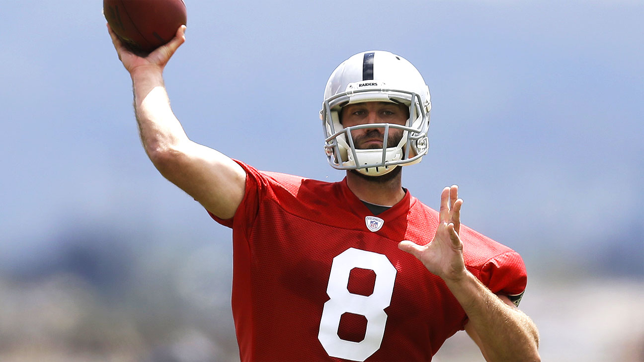 Matt McGloin is Raiders starter until further notice, Terrelle