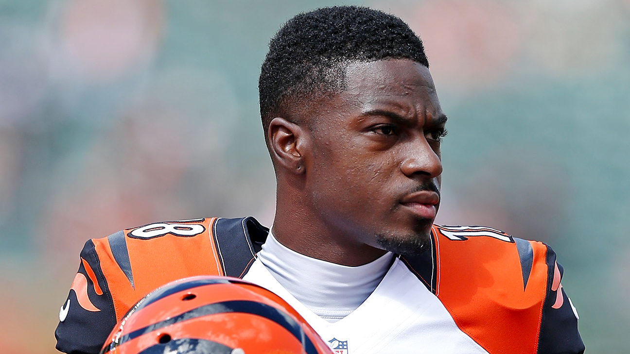 WR A.J. Green returns to Arizona Cardinals on 1-year deal, The Daily  Courier