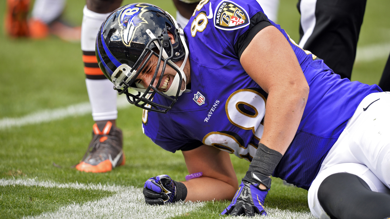 AFC North News: ESPN source says Ravens Pitta out for the 2013