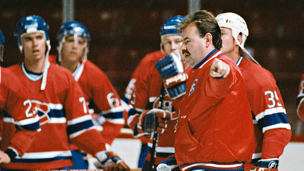 1993-94 Dave Ellett Maple Leafs Game Worn Jersey