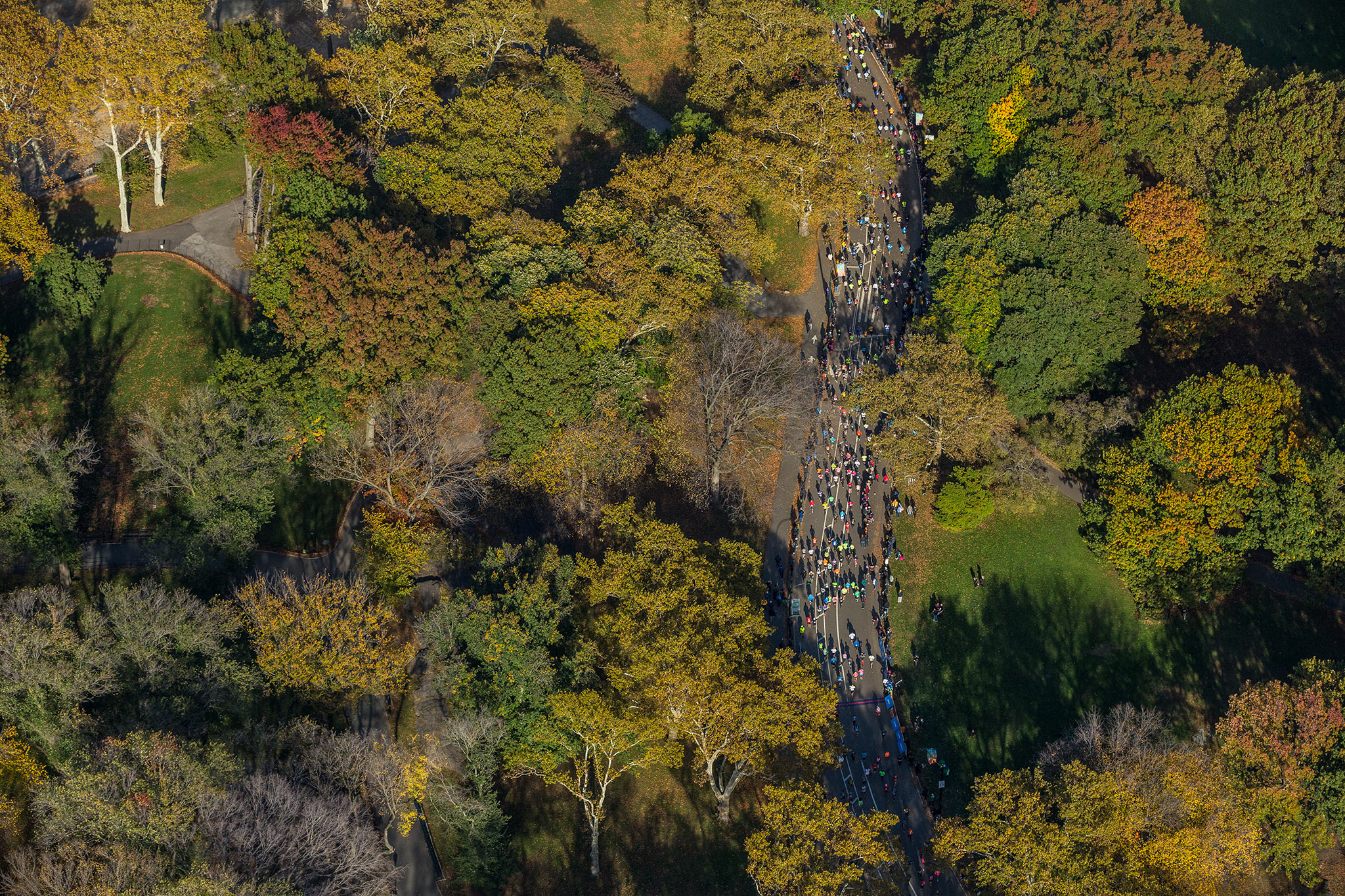 Down the Stretch The 2014 New York City Marathon ESPN