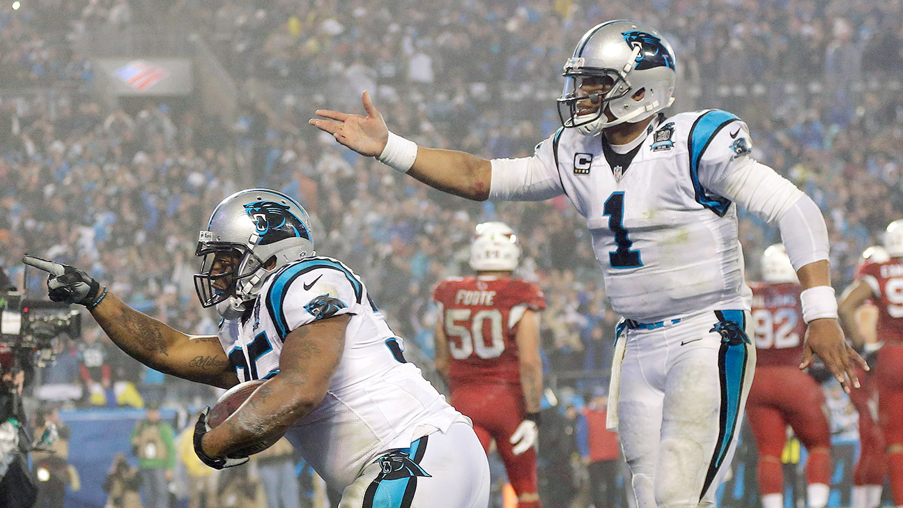 Arizona Cardinals 15-49 Carolina Panthers: NFC championship game