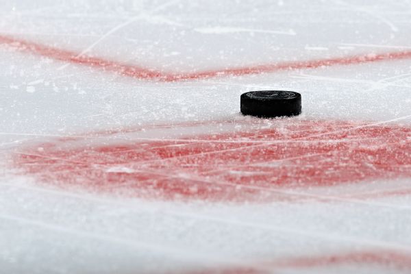 AHL coach banned 10 games for anti-gay slur