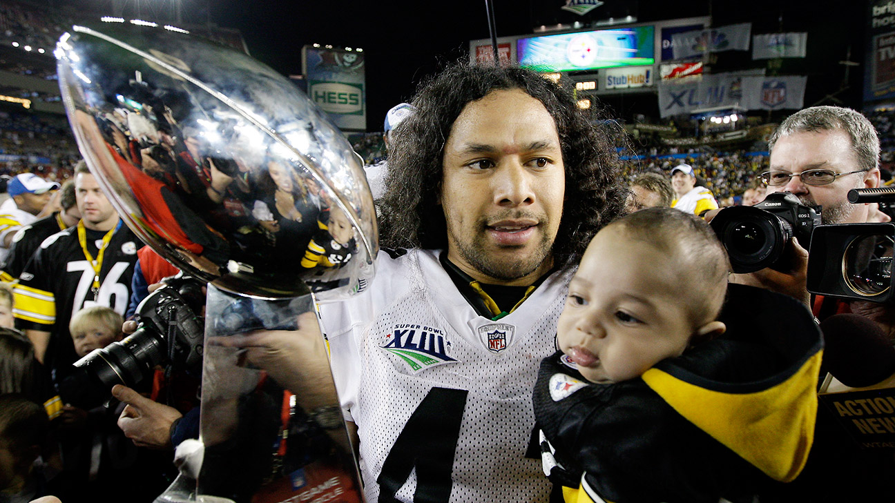 Troy Polamalu of Pittsburgh Steelers is NFL's best-liked by fans 