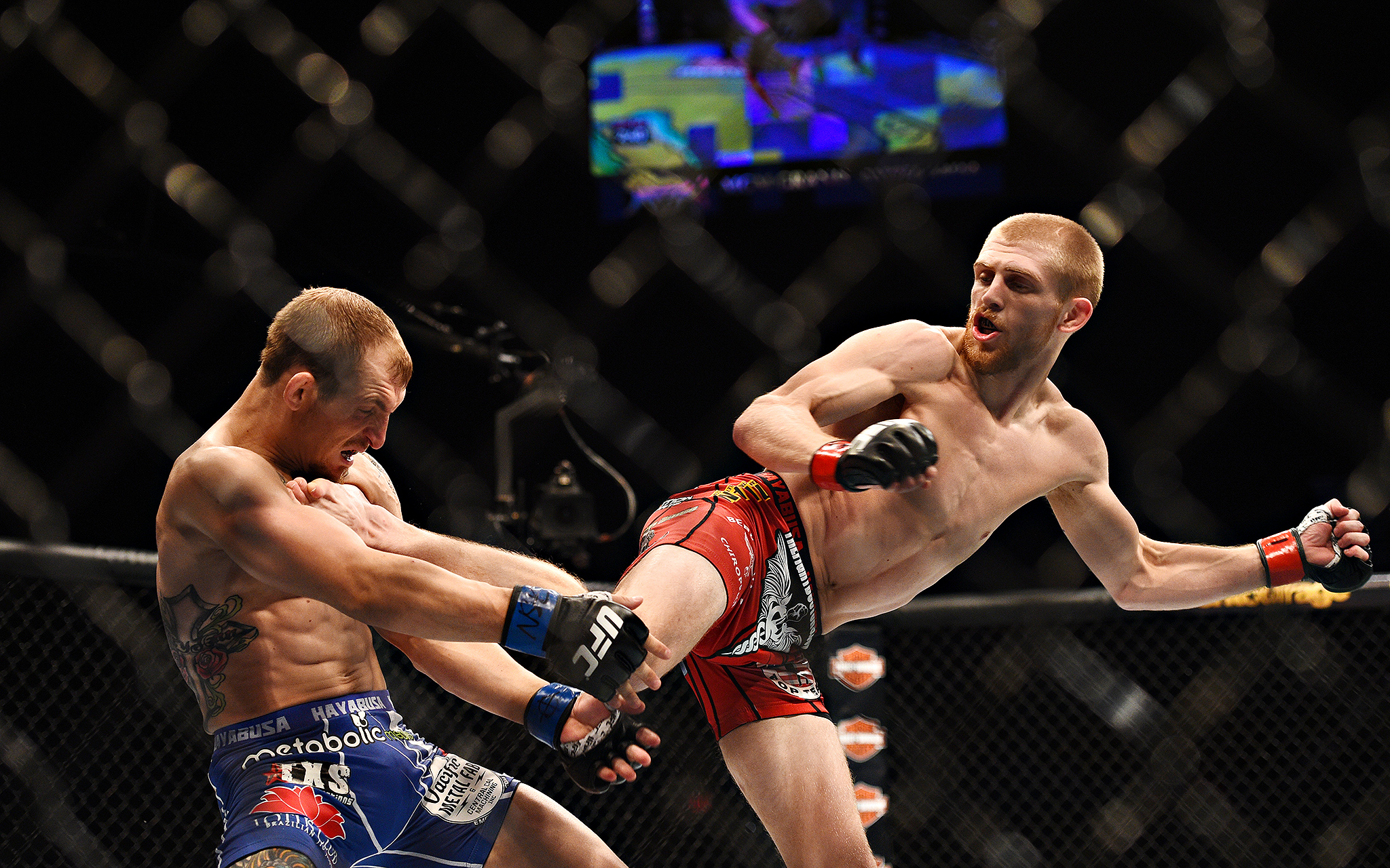 Reversal of fortune - The best shots from UFC 187 - ESPN