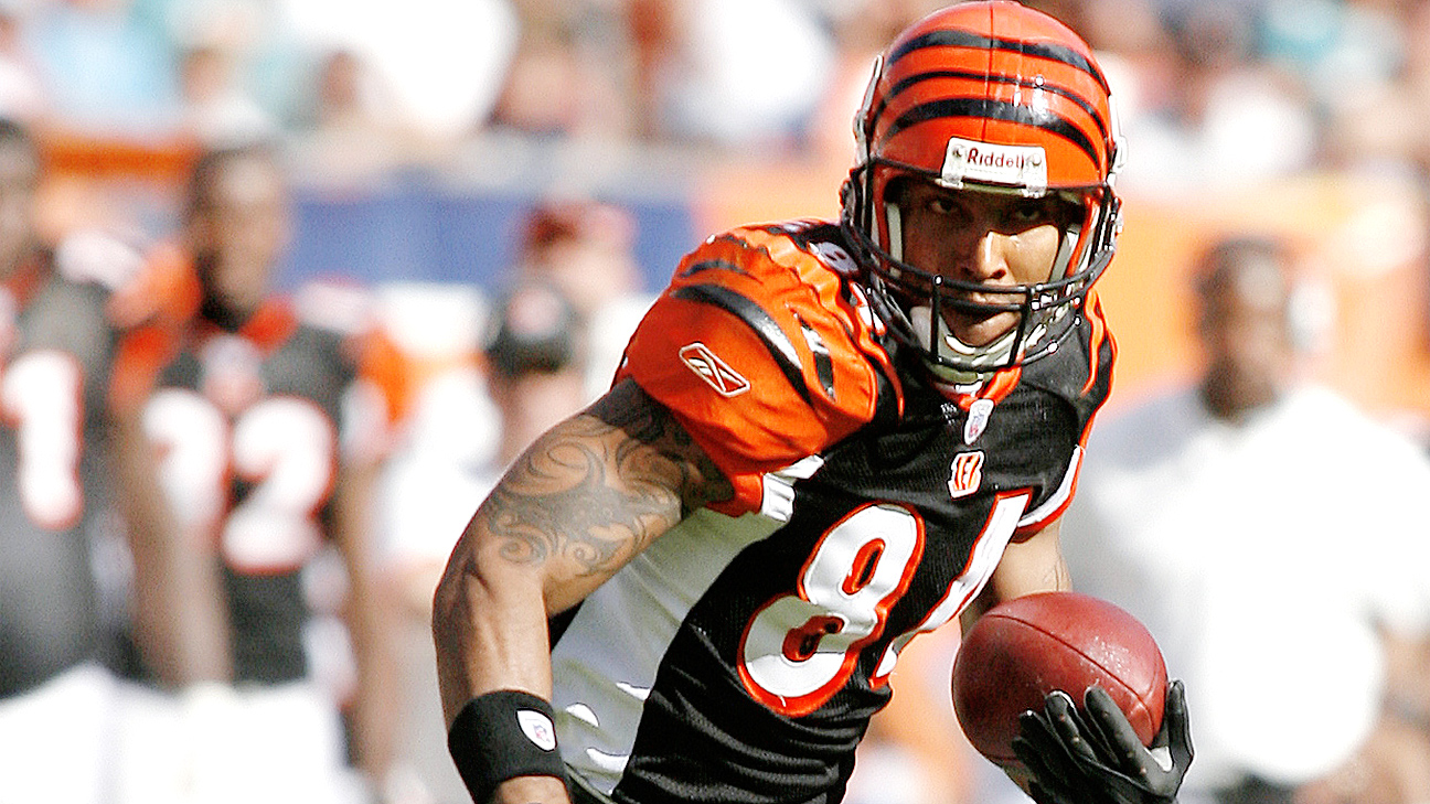 Cincinnati bengals, Oakland raiders, Tj houshmandzadeh