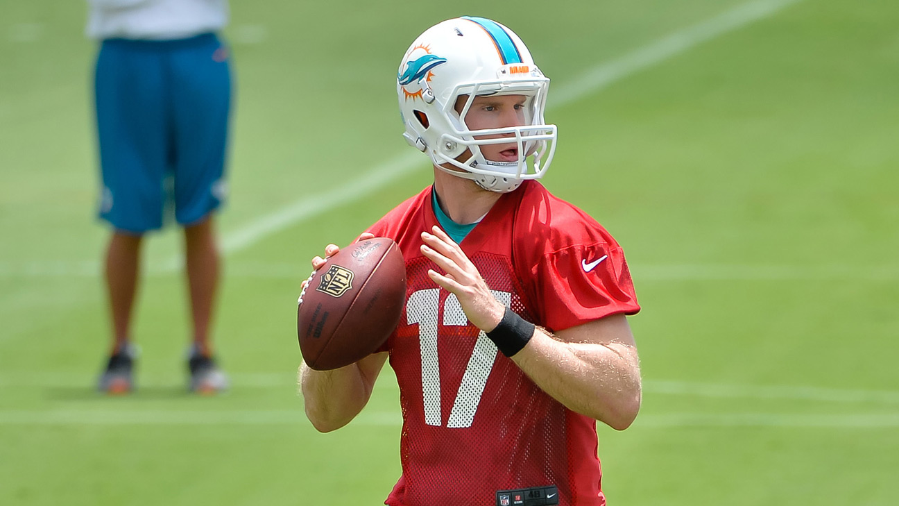 Ryan Tannehill era in Miami a story of what could have been - ESPN - Miami  Dolphins Blog- ESPN