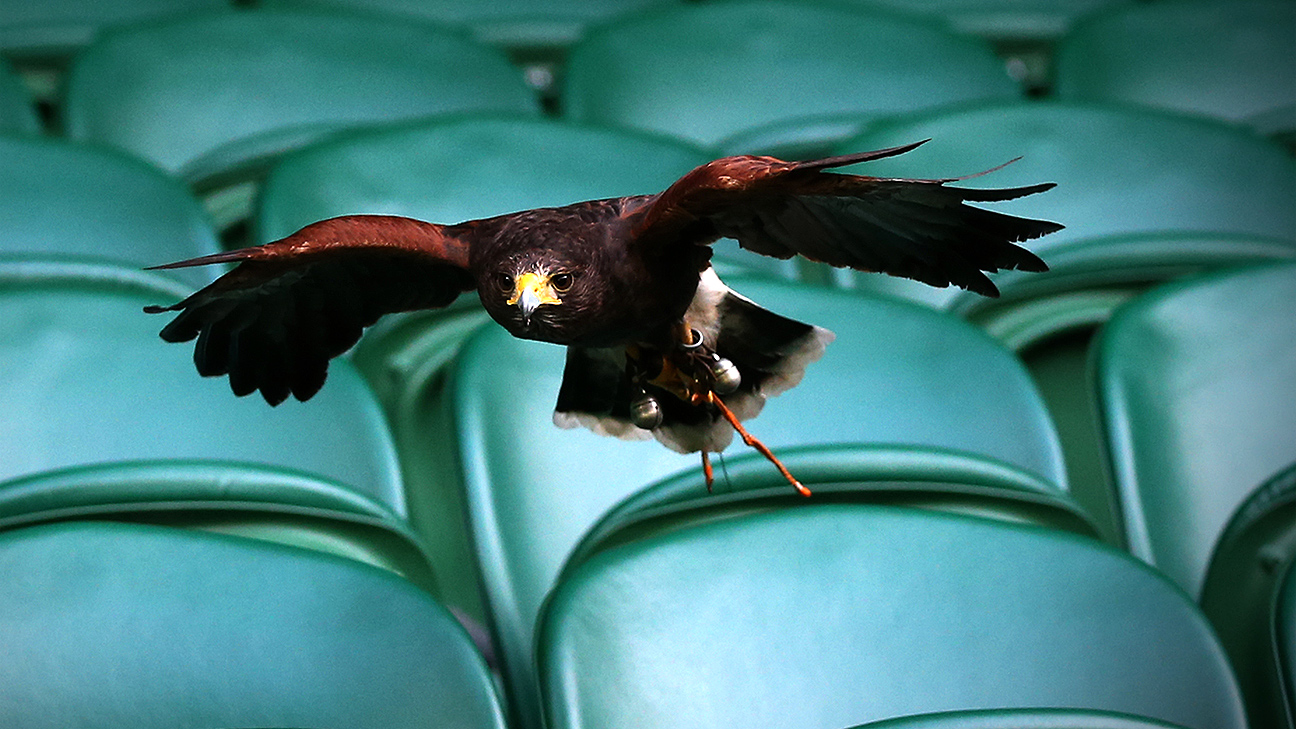 Wimbledon 2025: Unveiling the Grandeur of Tennis Traditions