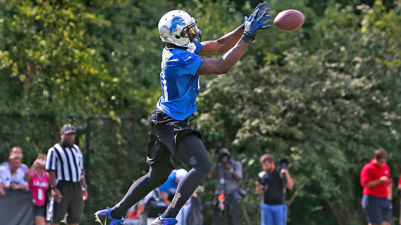 Calvin Johnson - Detroit Lions Wide Receiver - ESPN