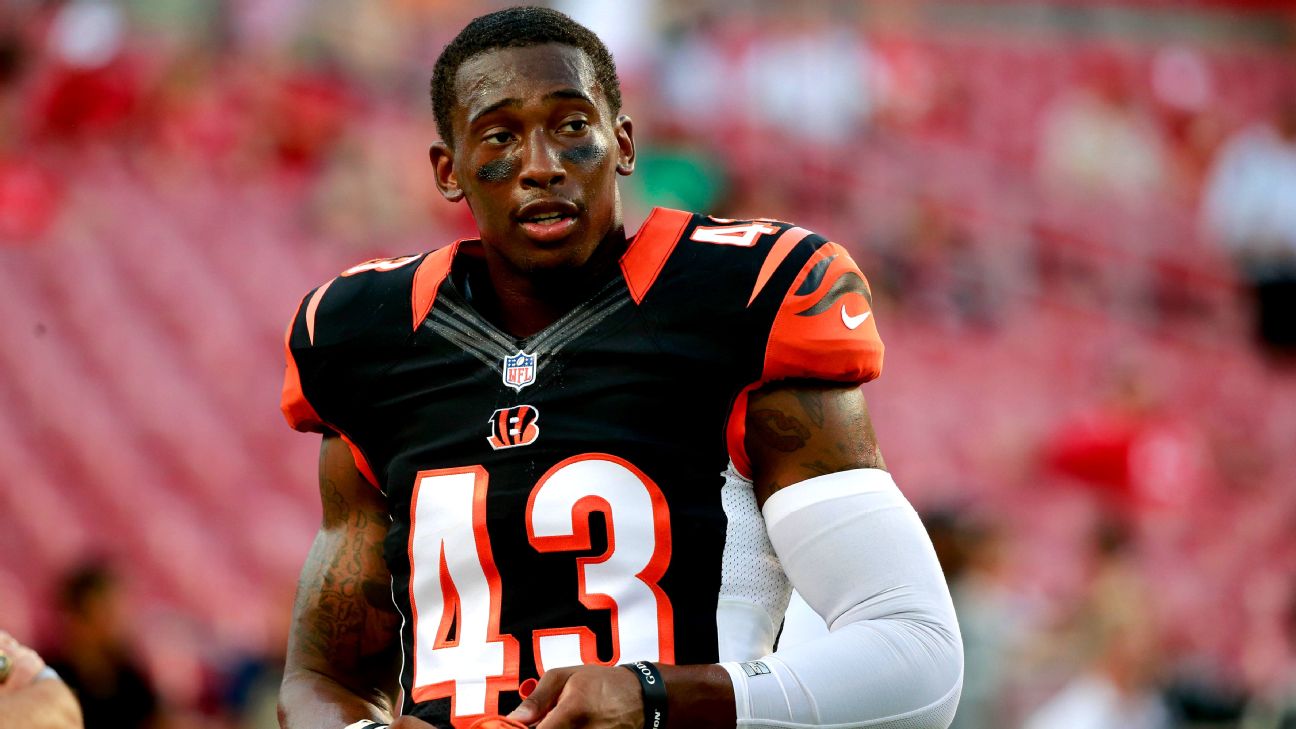 Can Bengals keep safeties George Iloka, Reggie Nelson in free agency? -  ESPN - Cincinnati Bengals Blog- ESPN