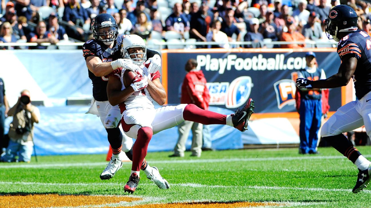 Did Larry Fitzgerald Really Catch All Those Footballs With One Hand in the  Visa Checkout Ad?