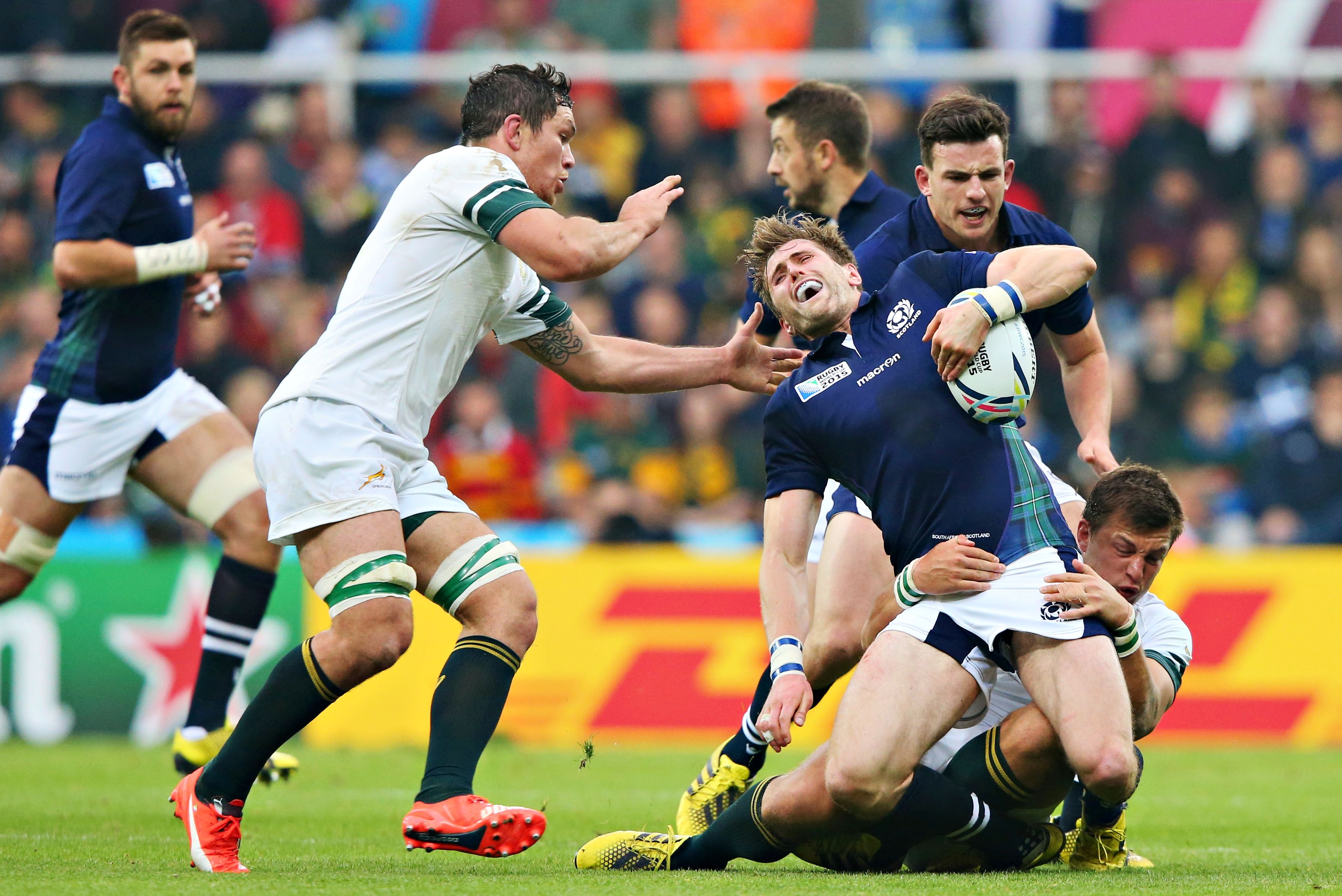 Scotland, South Africa - Photos: 2015 Rugby World Cup - ESPN