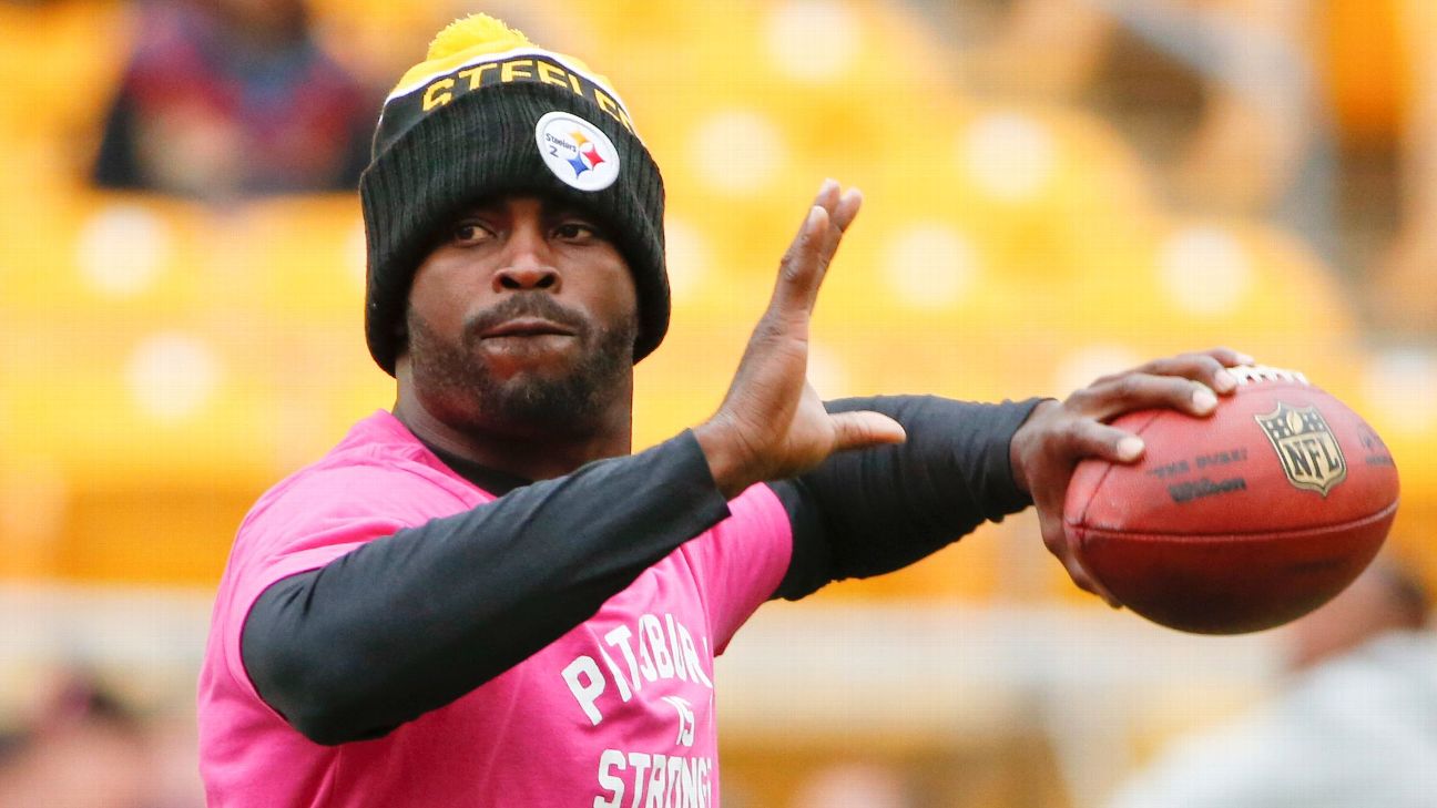 Michael Vick Denies He Is Coming Out of Retirement to Play in Fan  Controlled Football – LX