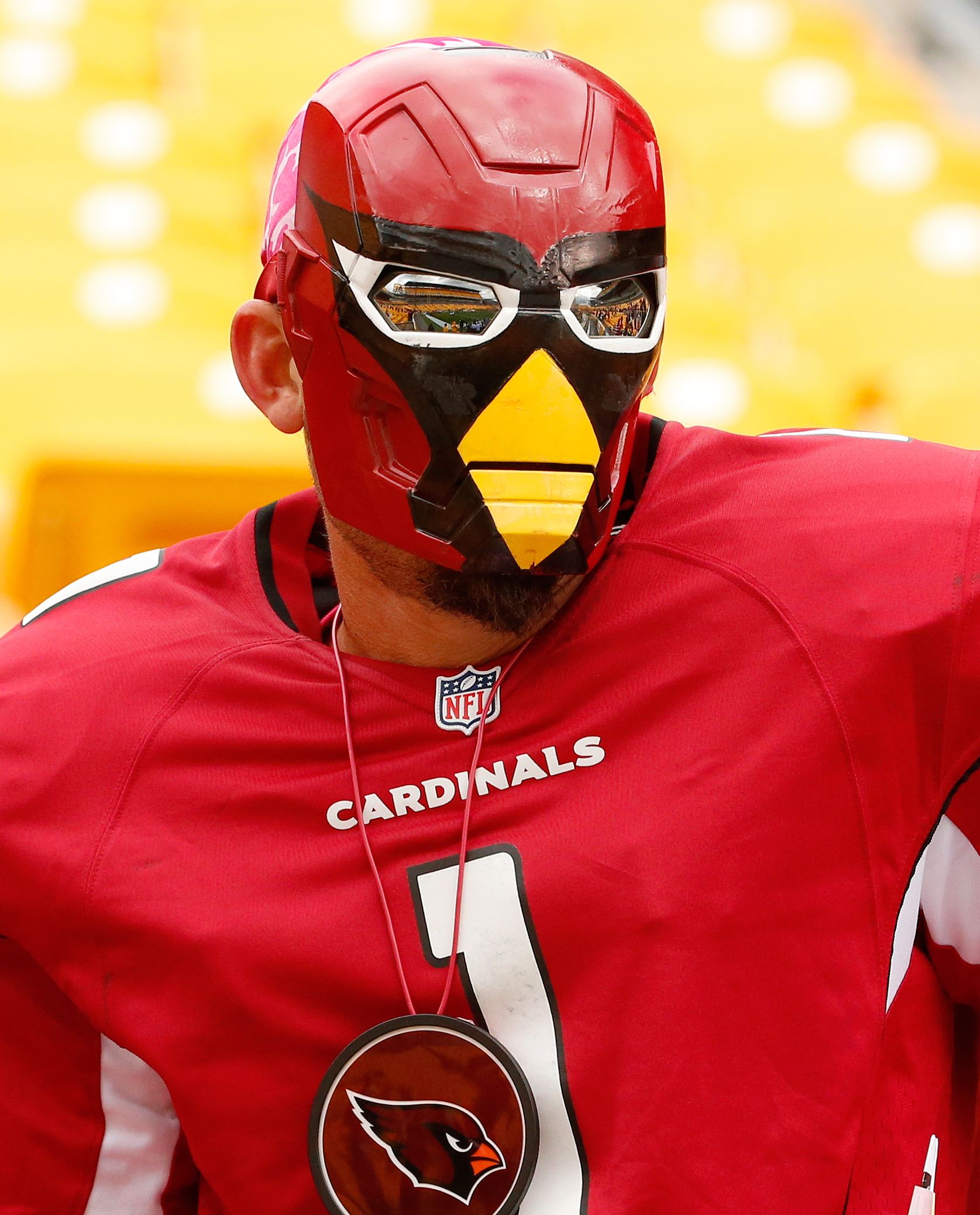 Arizona cardinals fan photos steelers vs cardinals espn