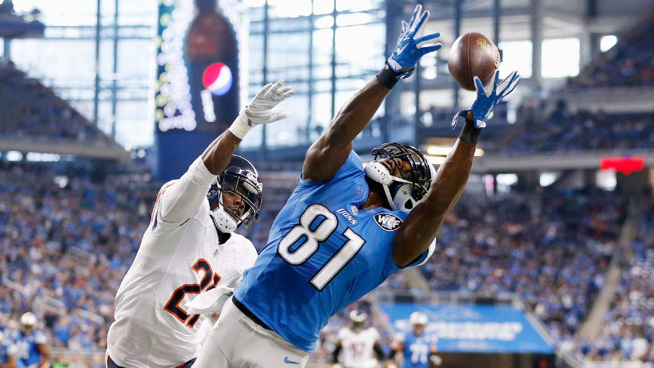 Inside Calvin Johnson's 50-yard TD catch for the Lions - ESPN - Detroit  Lions Blog- ESPN