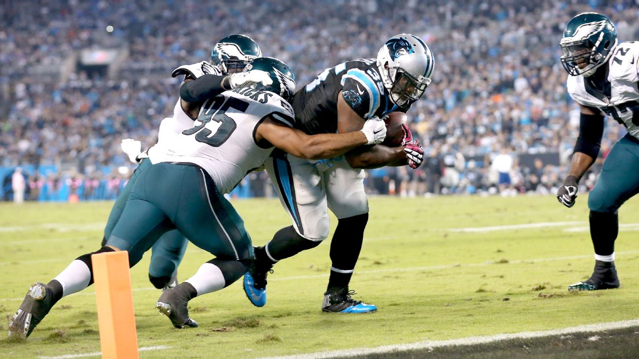 2016 Carolina Panthers bowling ball