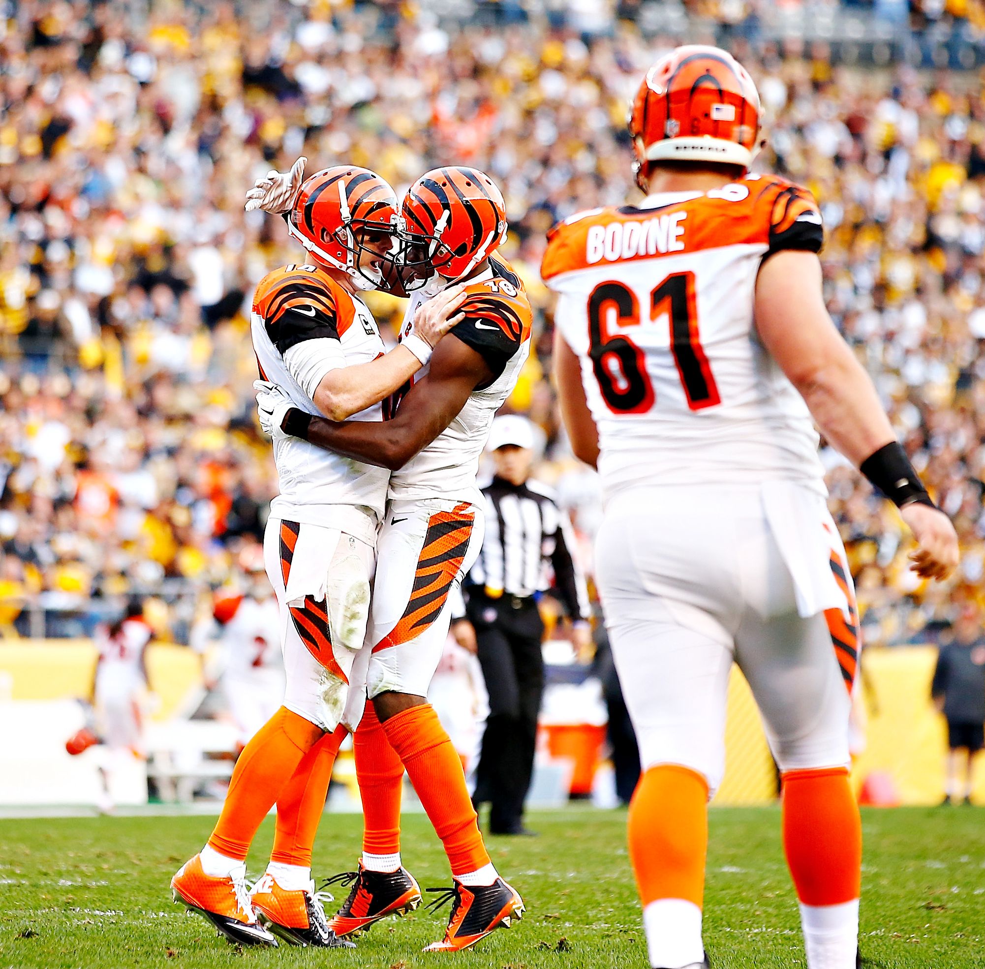 Bengals Celebrate - Photos: Bengals Vs. Steelers - ESPN