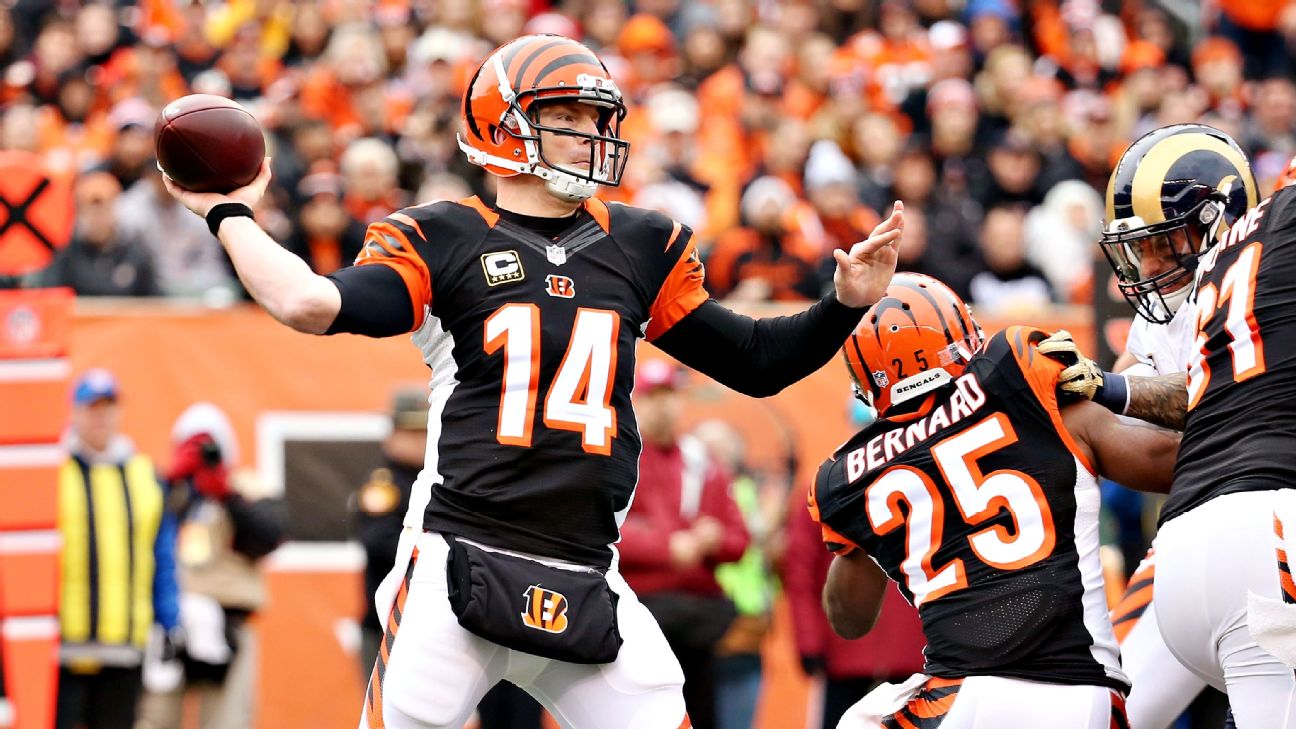 Jeremy Hill up, Giovani Bernard down in Cincinnati Bengals' win - ESPN -  NFL Nation- ESPN