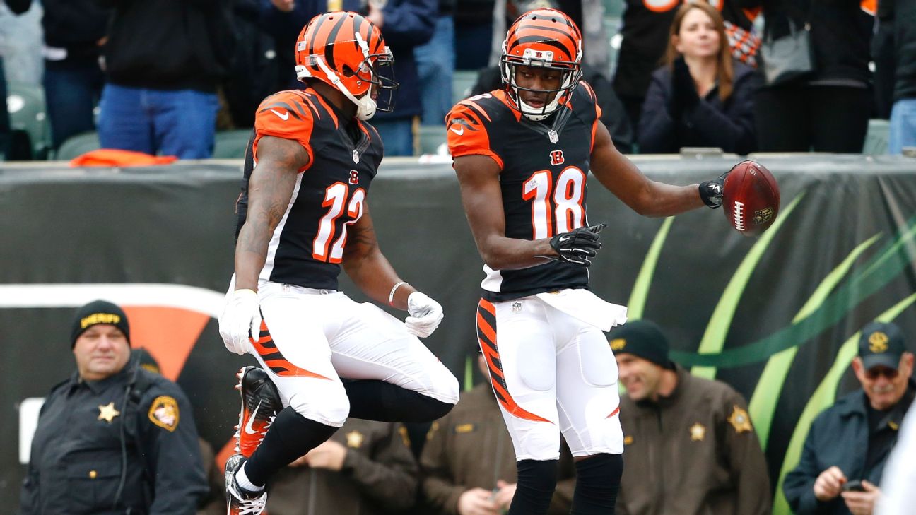 Cincinnati Bengals - Silencing the doubters. 