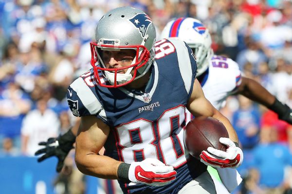 Danny Amendola Stats, News, Videos, Highlights, Pictures, Bio - New ...