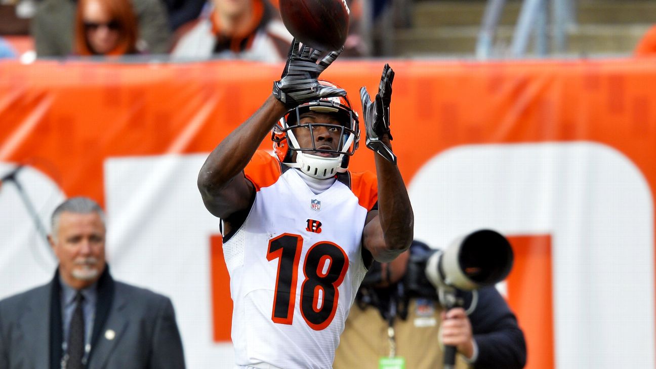 A.J. Green Needs to Lead in 2016