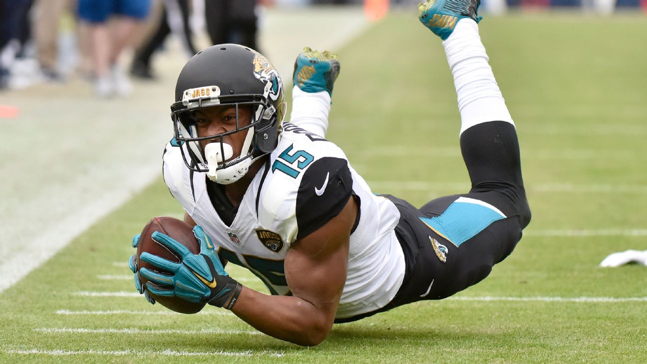 Jacksonville Jaguars: A Look at No. 15 Allen Robinson