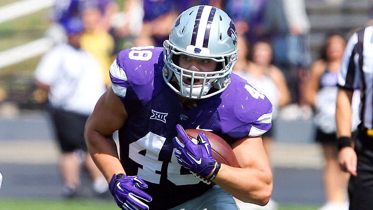 Glenn Gronkowski, New England Patriots, FB - News, Stats, Bio 