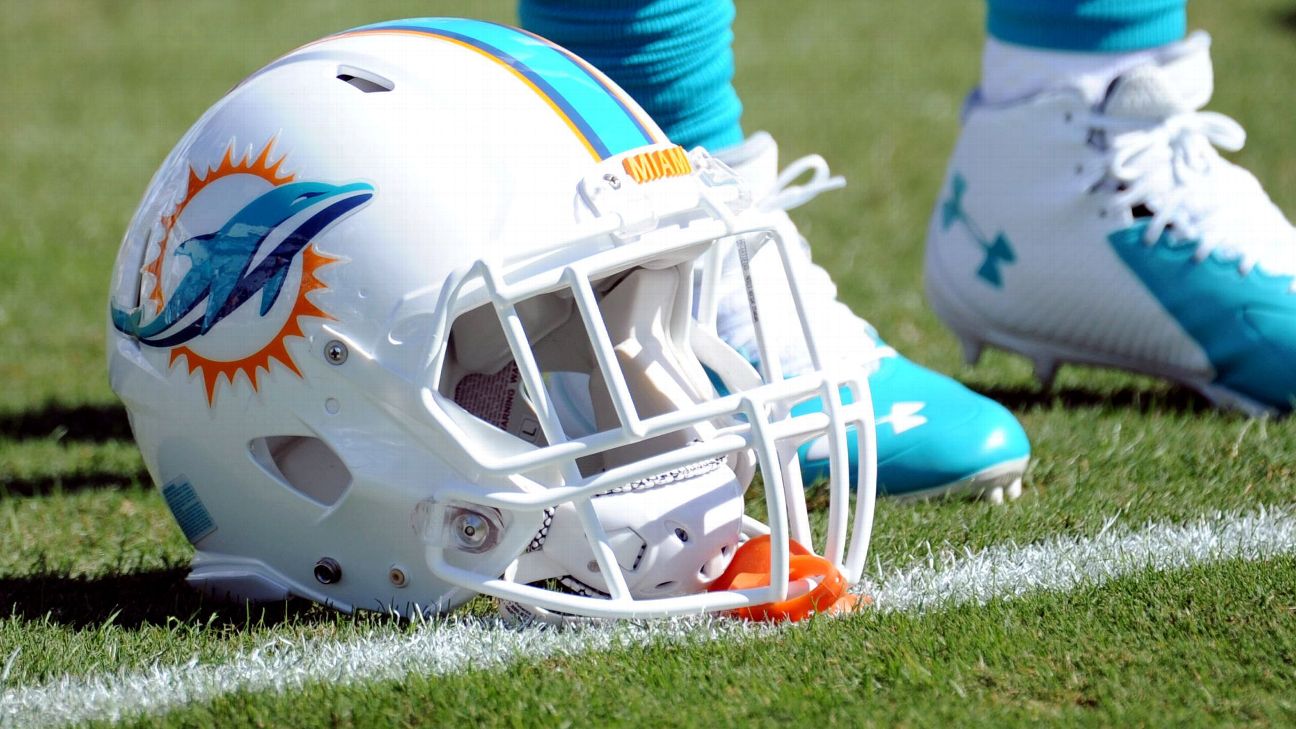 Miami Dolphins owner Stephen Ross makes sense of teams losing