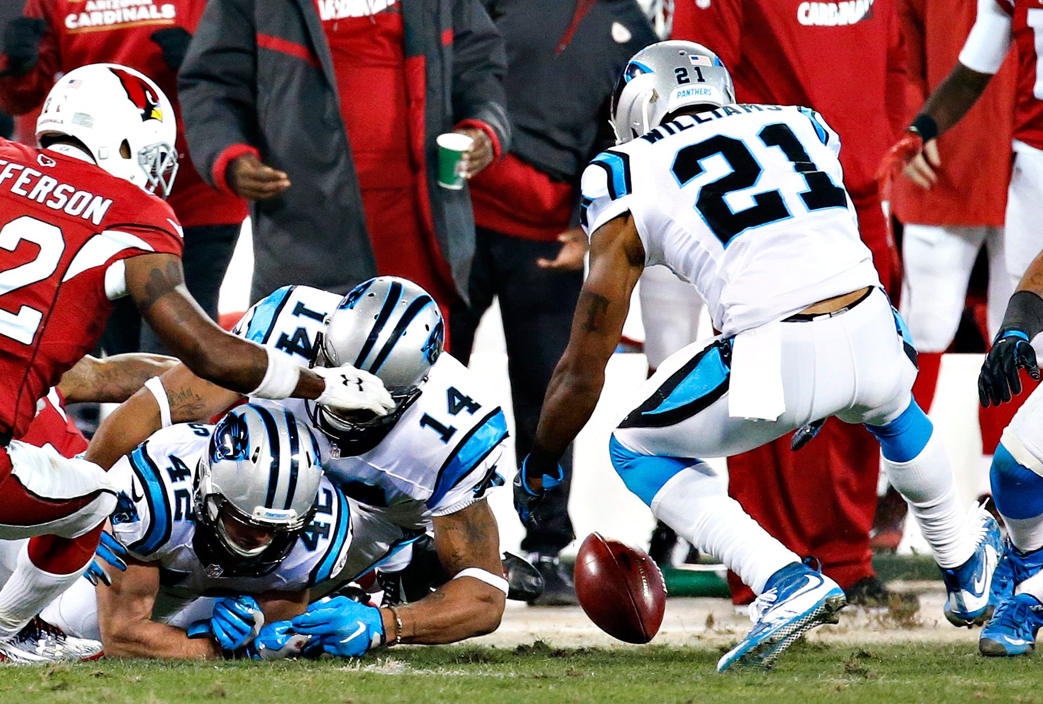 Photo Gallery: Panthers vs Cardinals