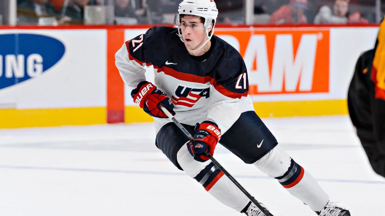 Detroit Rookie Dylan Larkin Shines in the Skills Competition - The