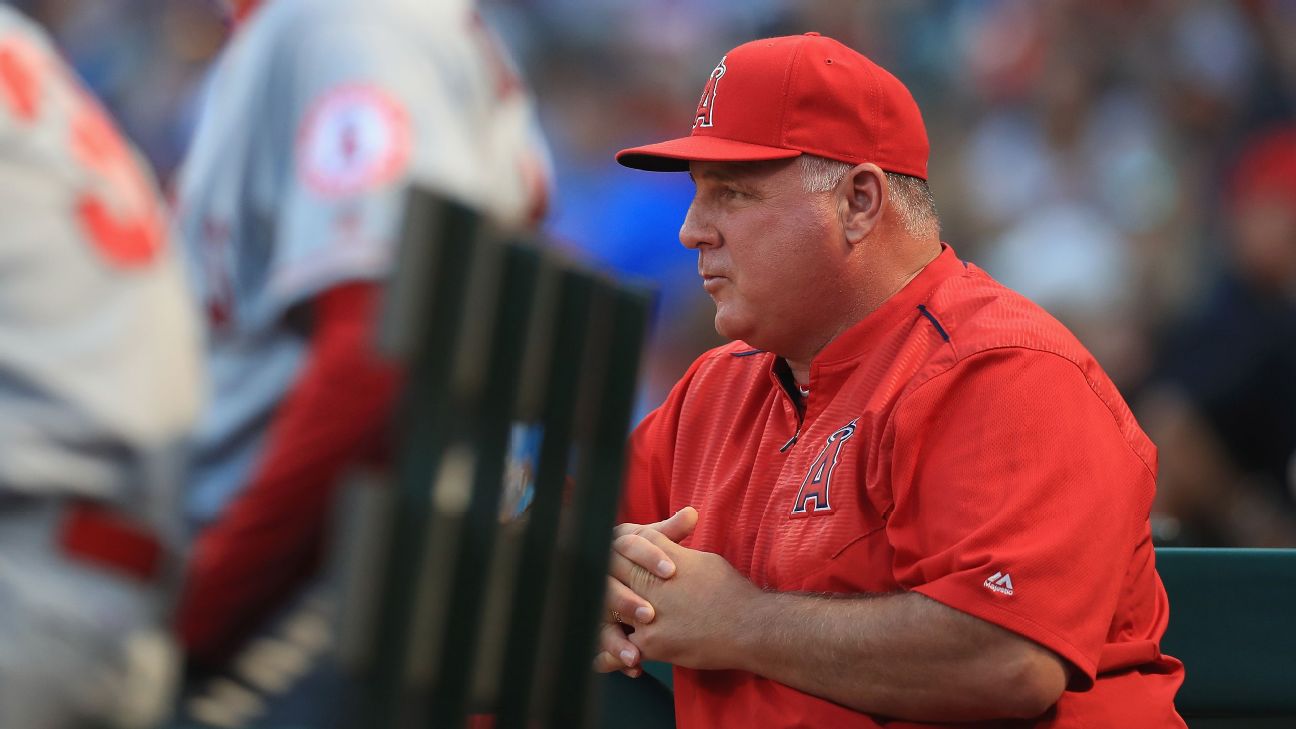 Former Angels manager Mike Scioscia to manage U.S. in Olympic baseball  qualifying