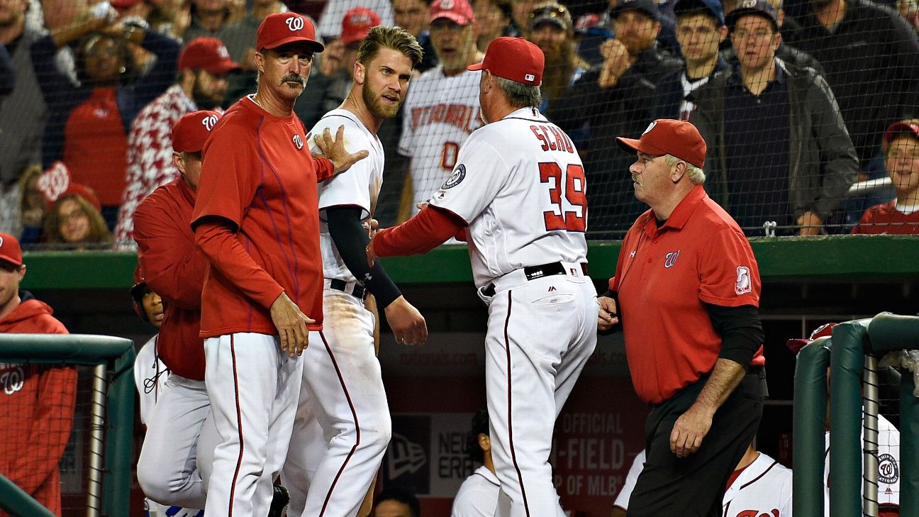 Bryce Harper weighs in on Nationals manager's ejection