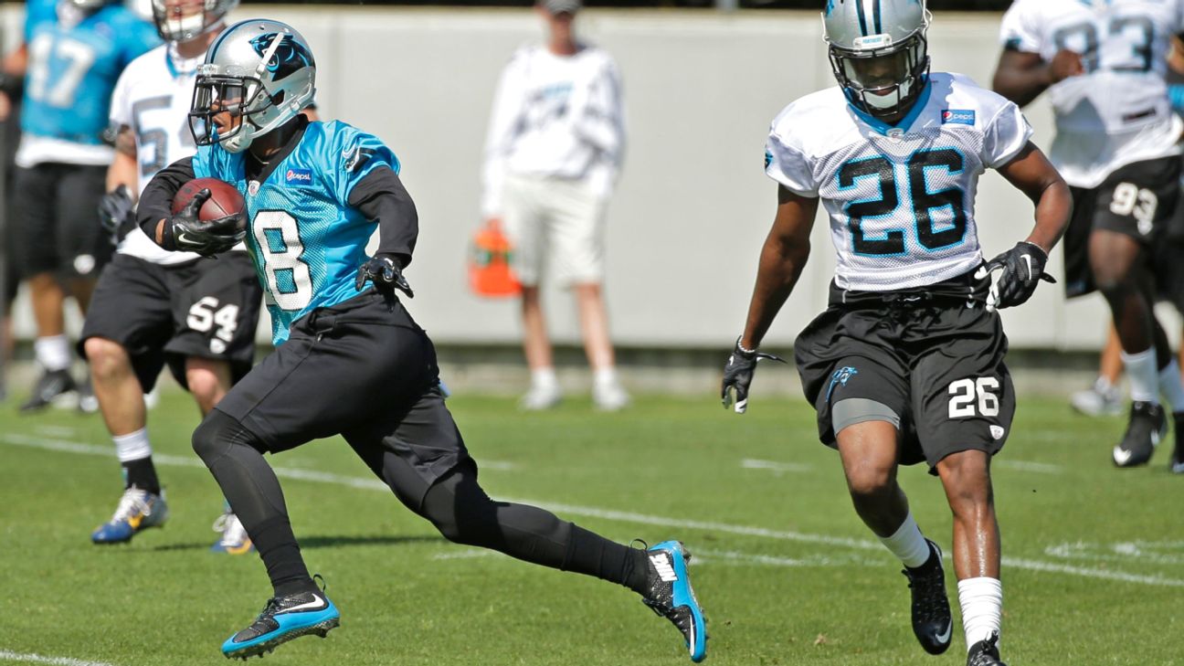 Damiere Byrd - Carolina Panthers Wide Receiver - ESPN