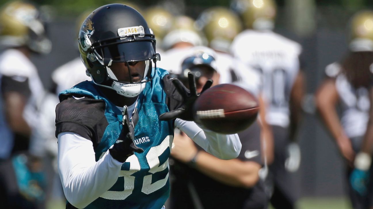 Allen Hurns Signed Jacksonville Jaguars Jersey at 's Sports