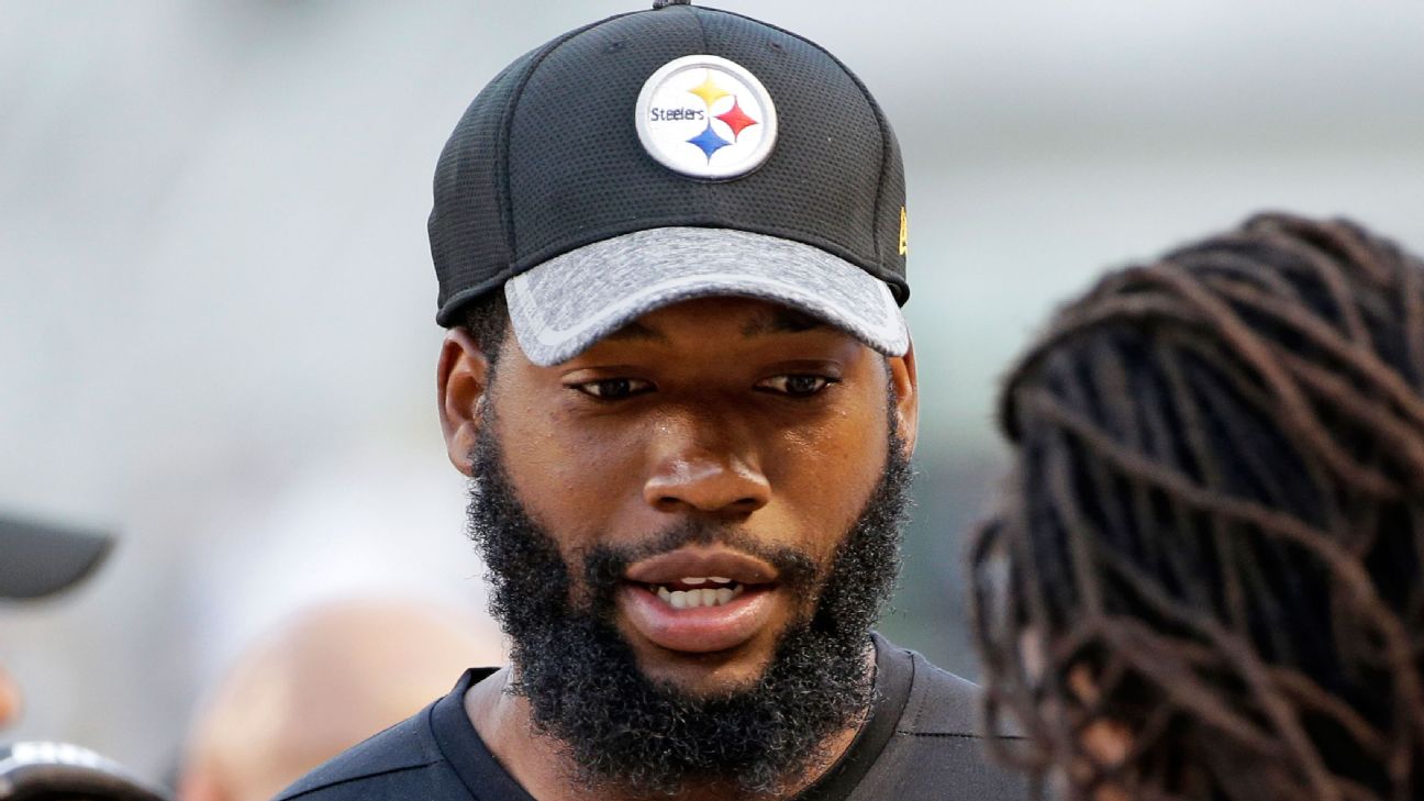 steelers dreadlock hat