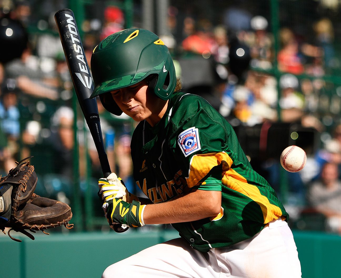 Little league world series classic bats｜TikTok Search