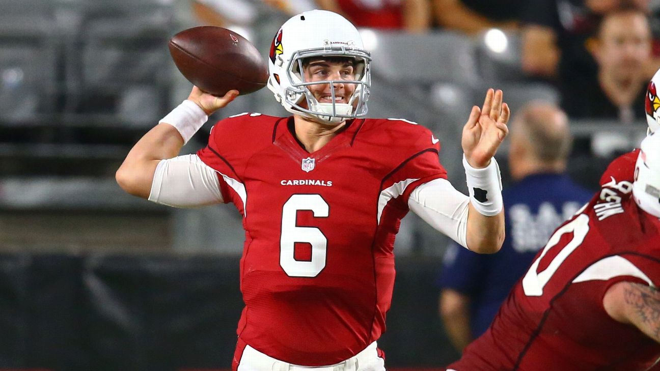 Arizona Cardinals waive QB Jake Coker - Touchdown Alabama