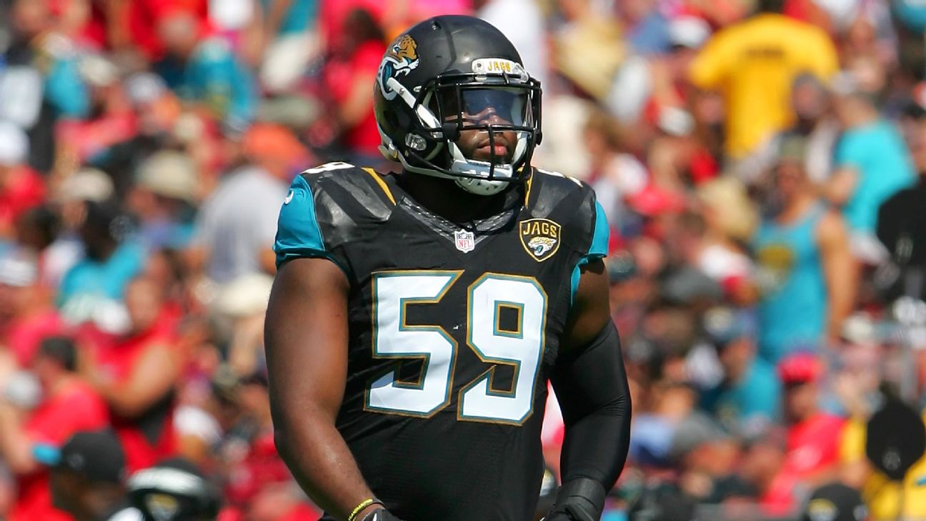 59 Jacksonville Jaguars ideas  jacksonville jaguars, jaguars, nfl