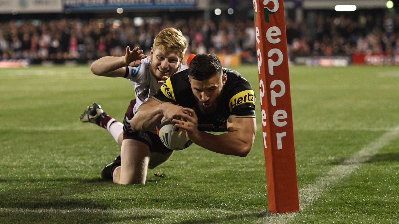 HALF PRICE FRENZY, Our next home game - Penrith Panthers