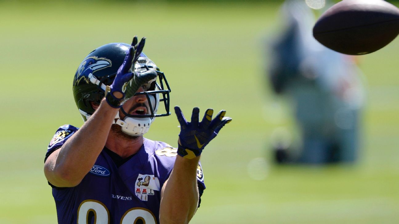 Dennis Pitta Statistics