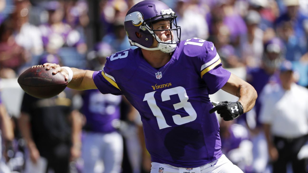 Shaun Hill gave Minnesota Vikings something to think about
