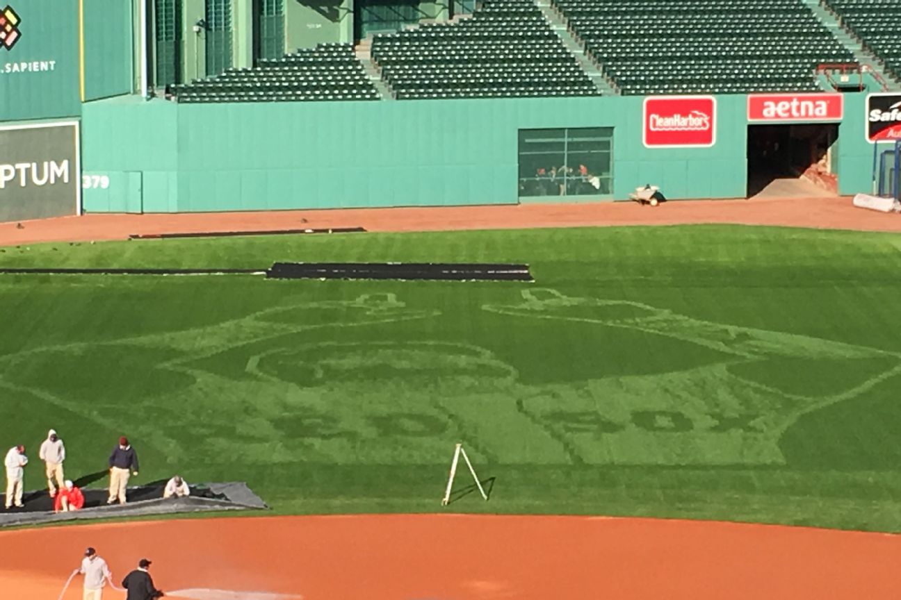 See it: Red Sox pitcher takes puppy for romp around Fenway Park