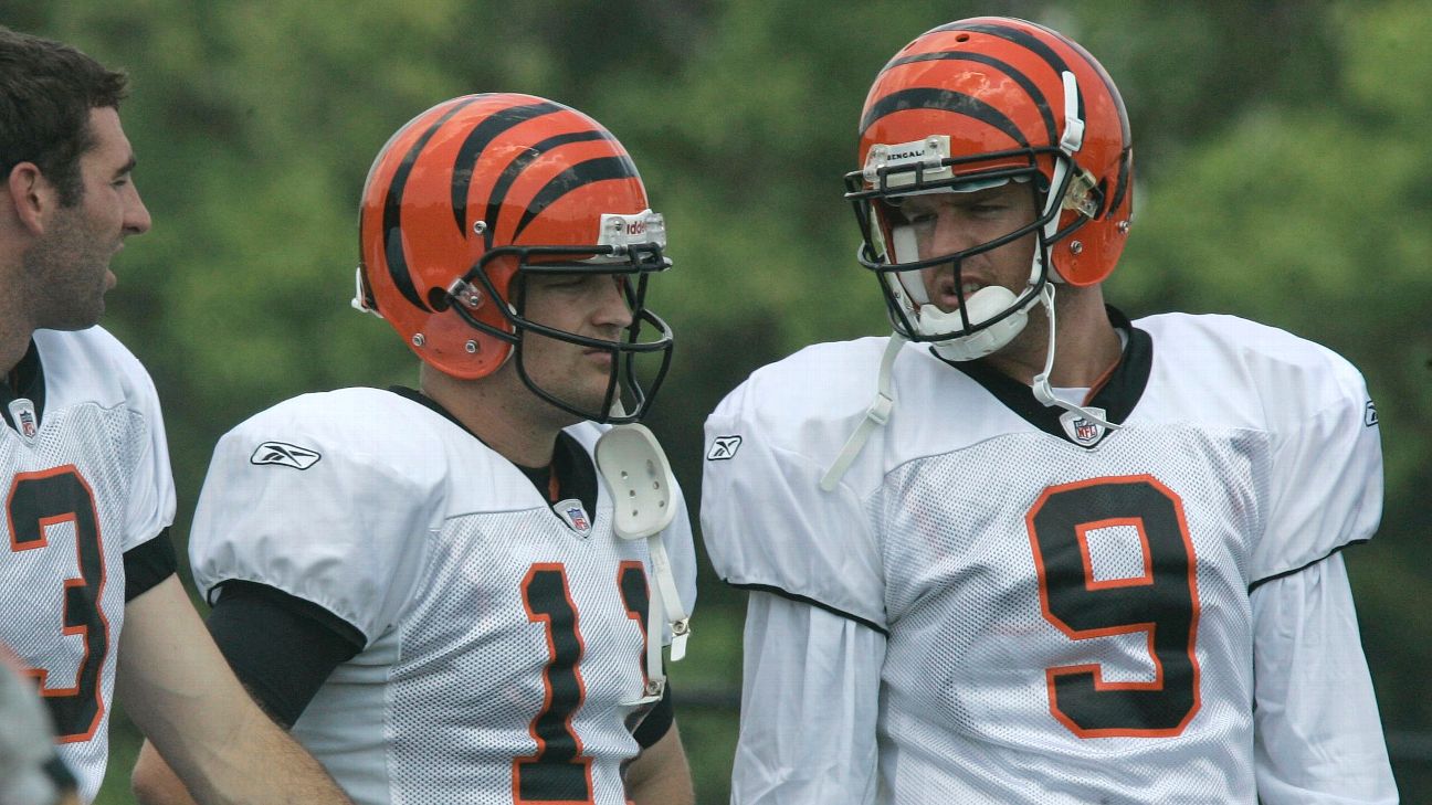 Carson Palmer tells the truth about the Bengals that we already knew -  Cincy Jungle