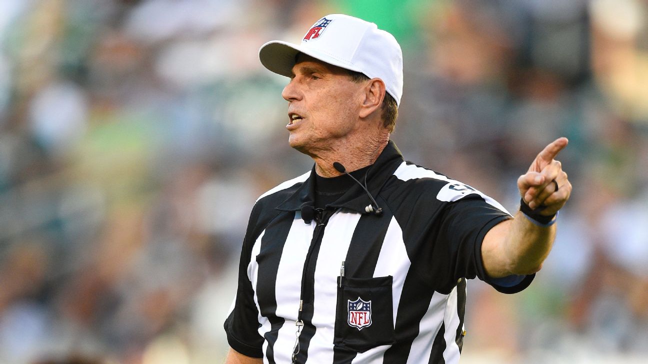 Are the NFL Referees a Problem? 