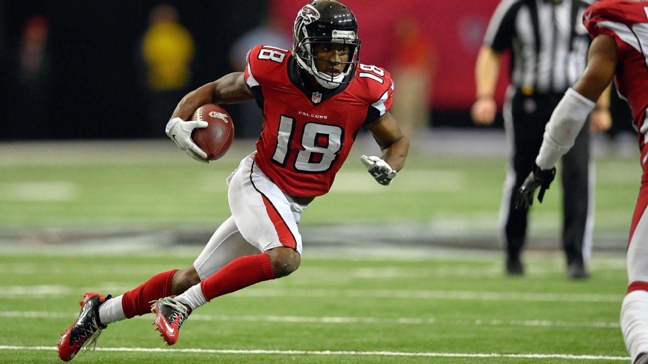 Atlanta Falcons: Expectations for Taylor Gabriel in 2017